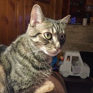 Meet your Posher, Cindy